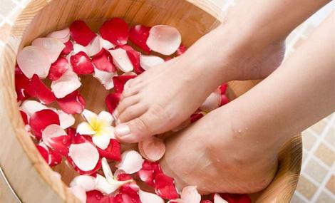 全国喝茶2020信息平台查询系统